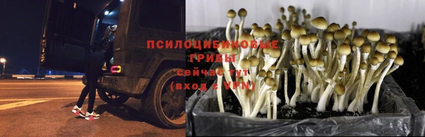 кристаллы Алексин