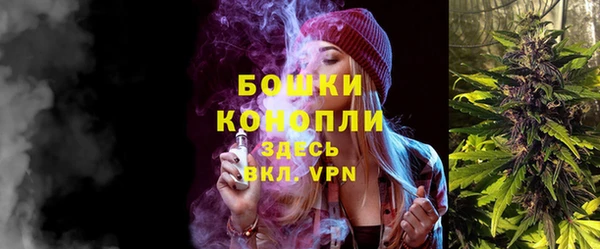 винт Абаза
