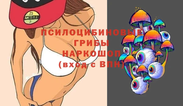 винт Абаза
