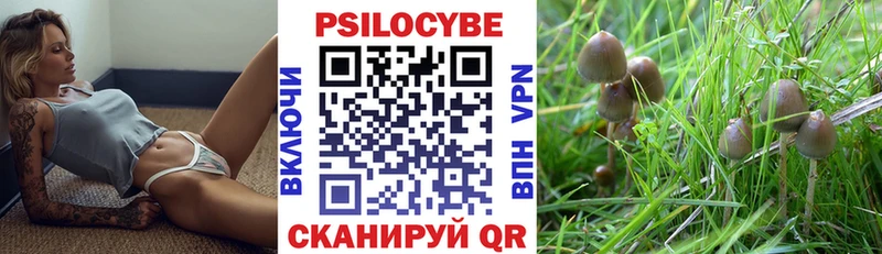 Псилоцибиновые грибы мухоморы  hydra маркетплейс  Духовщина 